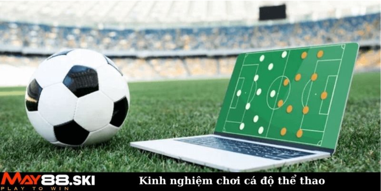 Kinh nghiệm chơi cá độ thể thao