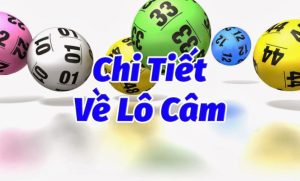 lô câm là gì